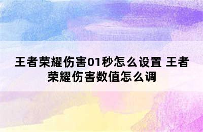 王者荣耀伤害01秒怎么设置 王者荣耀伤害数值怎么调